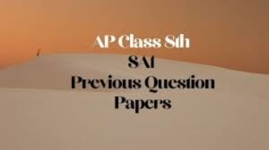 8th Class Social Question Paper 2018 SA1 Government